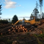 Northwest Logging Company, LLC