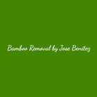 Bamboo Removal by Jose Benitez Landscaping Design