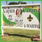 Cajun Canine