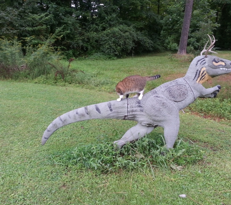 Doan Archery - Chesapeake, VA. t-rex 3-d target