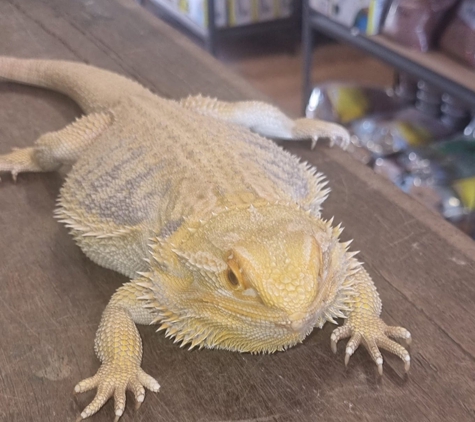 Valley Garden Centre - Kempsey, NSW