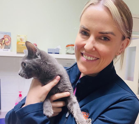 Bass Hill Vet - Bass Hill, NSW. Care about cats
