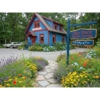 Med- Pointe Holistic Solutions gallery