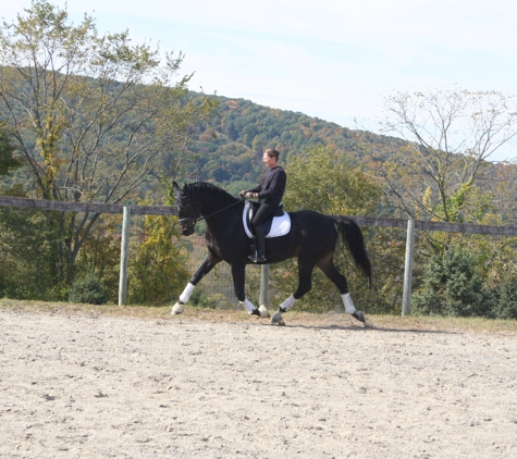 Inner Circle Farm, ltd - Patterson, NY