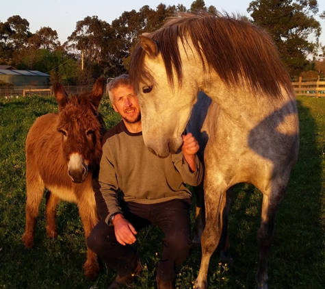 Drouin Veterinary Clinic - Drouin, VIC