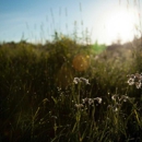 Evergreen Injury Law Group - Attorneys