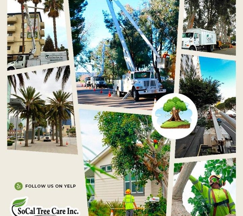 So Cal Tree Care Inc. - Escondido, CA