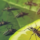 Family Pest Control - Pest Control Equipment & Supplies