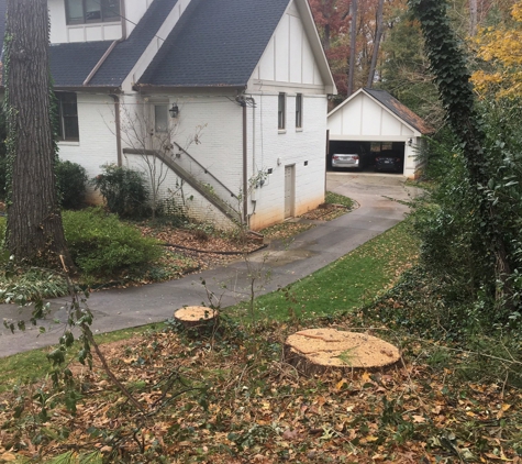 Tree Stump Masters - Atlanta, GA