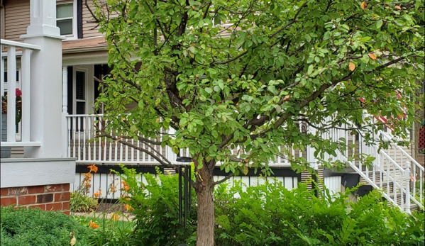 Smitty's Tree Service Inc. - Alsip, IL