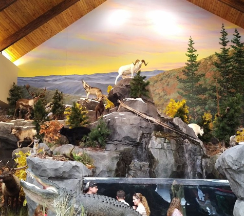 Cabela's - Garner, NC