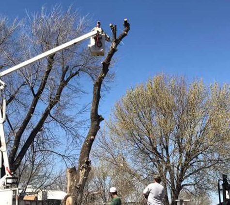 Slawson's Tree Service, Owner George Slawson - Jones, OK