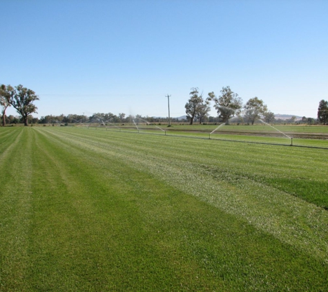 Cowra Turf - Cowra, NSW