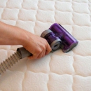 City Carpet Cleaners - Upholstery Cleaners