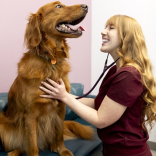 PetVet365 Pet Hospital Lexington/Richmond Rd - Lexington, KY