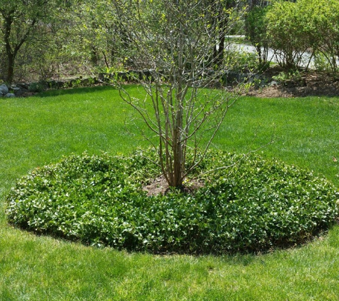 Northeast Landscape Contractors, Inc. - North Andover, MA