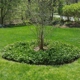 Northeast Landscape Contractors, Inc.