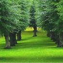 Arbor Tree Care - Arborists
