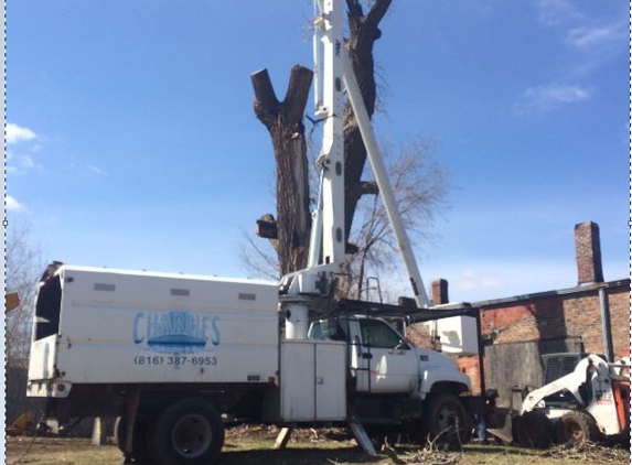 Charlie's Tree Trimming & Removal - Saint Joseph, MO