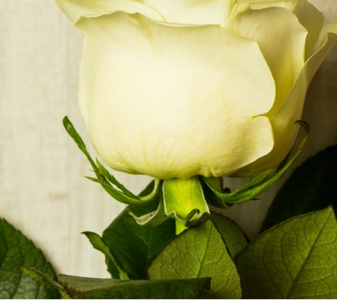 Fulham Funerals - South Brighton, SA