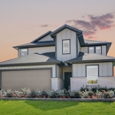 Hockley Meadows 45s - Taylor Morrison - Real Estate Developers