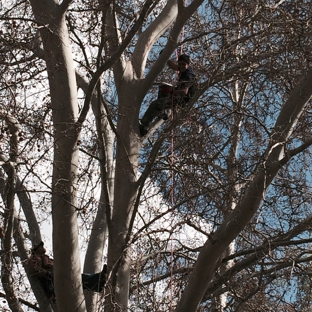 Titan Tree Service - Sun Valley, NV