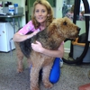 Kellie's Pet Salon Grooming, Boarding & Rescue gallery