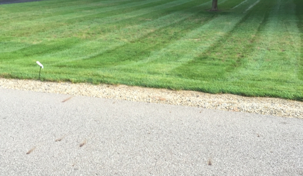 Morales Lawncare LLC - Stevensville, MI