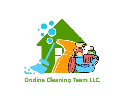 Odina Cleaning Team - Dallas, TX