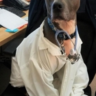 Norwood Animal Hospital, A Thrive Pet Healthcare Partner
