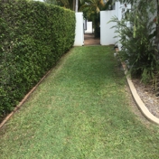 Gallery Image Number 1