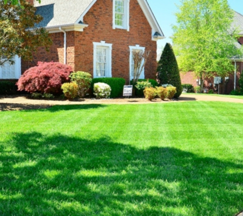 A & M Landscaping and Grading - Clayton, NC