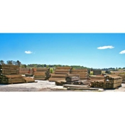 Gallery Image Number 3