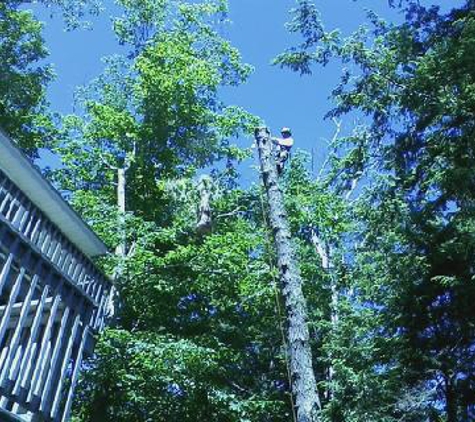 Spot Pond Tree Service Inc. - Moultonborough, NH