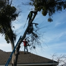 Hemphill Lawn and Landscape - Landscaping & Lawn Services