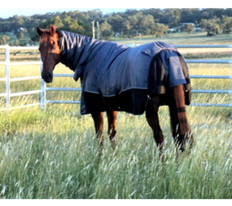 Wholesale Horsewear House - Wilsonton, QLD