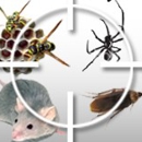 Absolute Pest Control - Pest Control Services