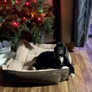 The Barksville Inn - Pet Boarding & Kennels
