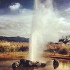 Old Faithful Geyser Of Califonia