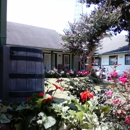 Green Garden Apartments - Apartments