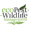 ecoPest Wildlife Management gallery