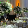All Event Company gallery