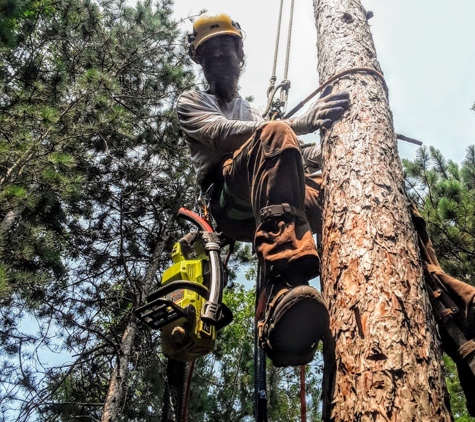 Endor Tree Service - Paonia, CO