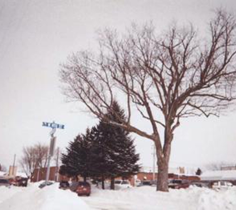 Huston's Tree Service - Saint Paul, MN
