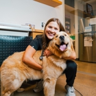 Sploot Veterinary Care - Arvada