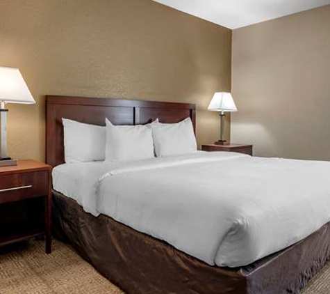 Comfort Inn Deland - Deland, FL