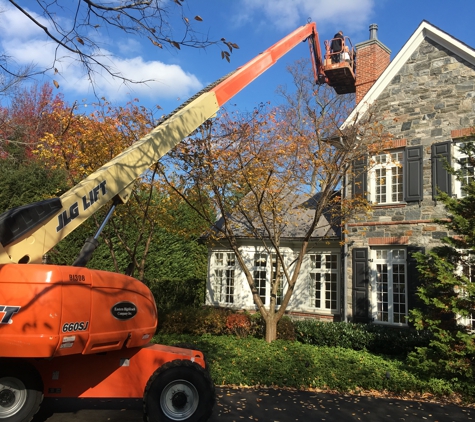 Chimney Cricket, Inc - Woodlyn, PA