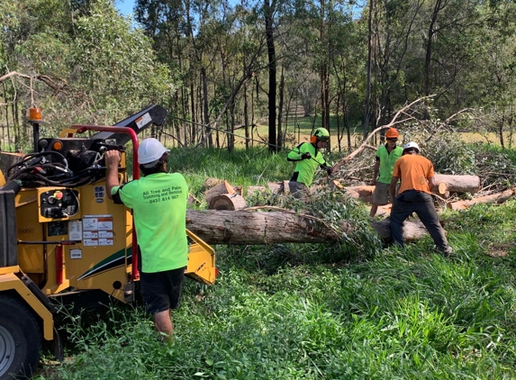 All Tree And Palm Trimming And Removal
