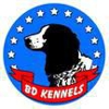 BD Kennels gallery