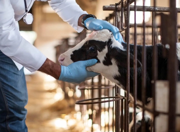 Wakeley Veterinary Hospital - Prairiewood, NSW